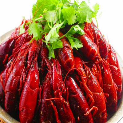四川麻辣小龍蝦技術(shù)培訓(xùn)哪里好？底料熬制方法