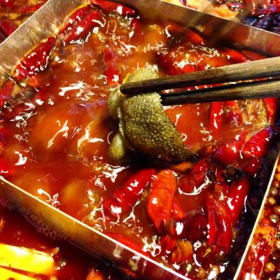 成都火鍋培訓(xùn)多少錢？ 成都火鍋培訓(xùn)多少錢？